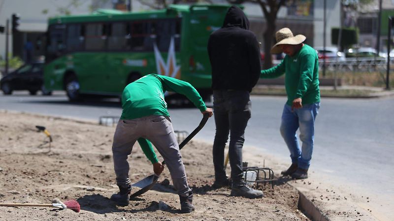 La Minerva Aurelio Magaña 18 03 26